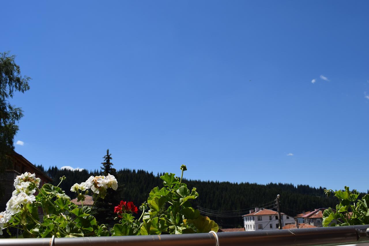 Complex Pele Hotel Zmeitsa Екстериор снимка
