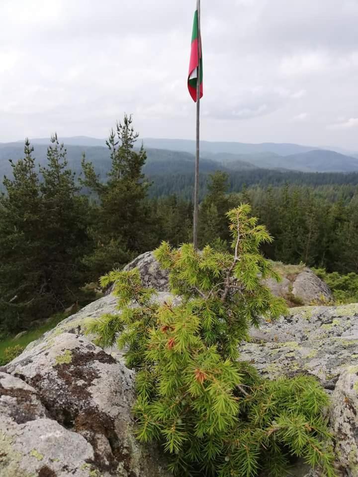 Complex Pele Hotel Zmeitsa Екстериор снимка