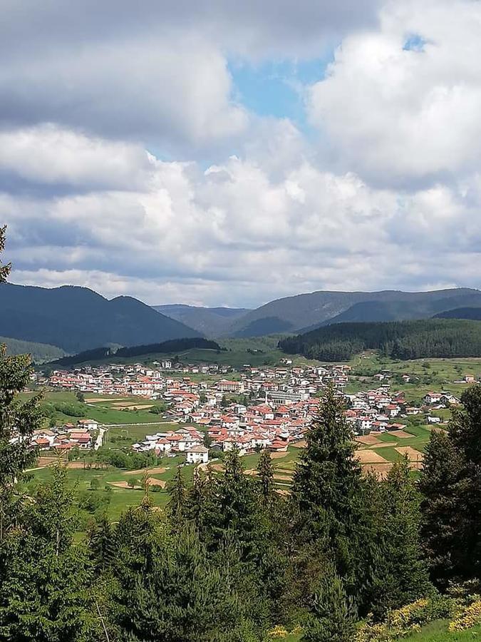 Complex Pele Hotel Zmeitsa Екстериор снимка