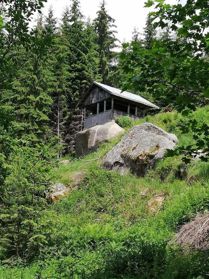 Complex Pele Hotel Zmeitsa Екстериор снимка