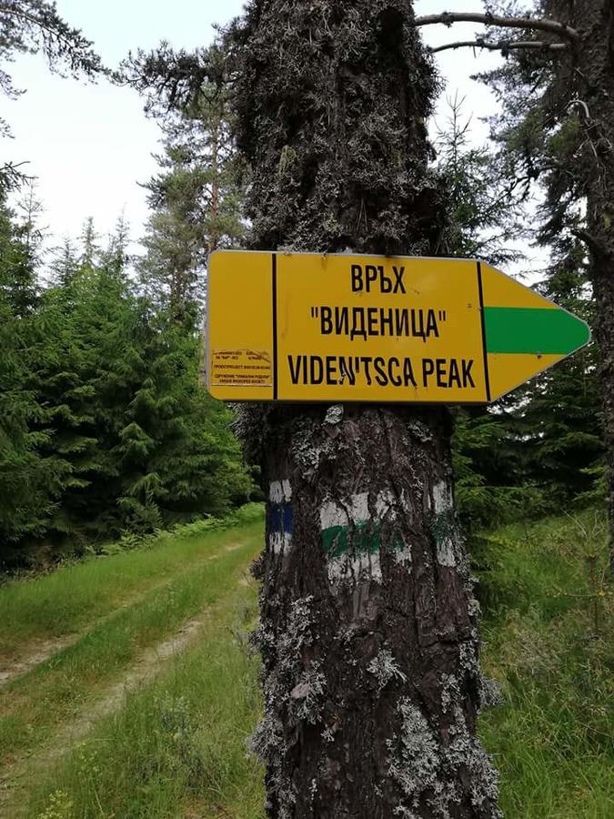 Complex Pele Hotel Zmeitsa Екстериор снимка